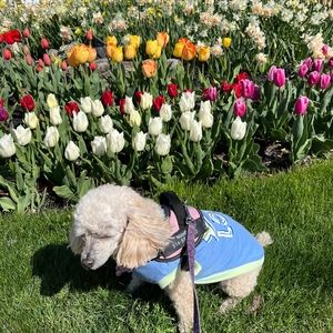 Meet your Posher, Micheline